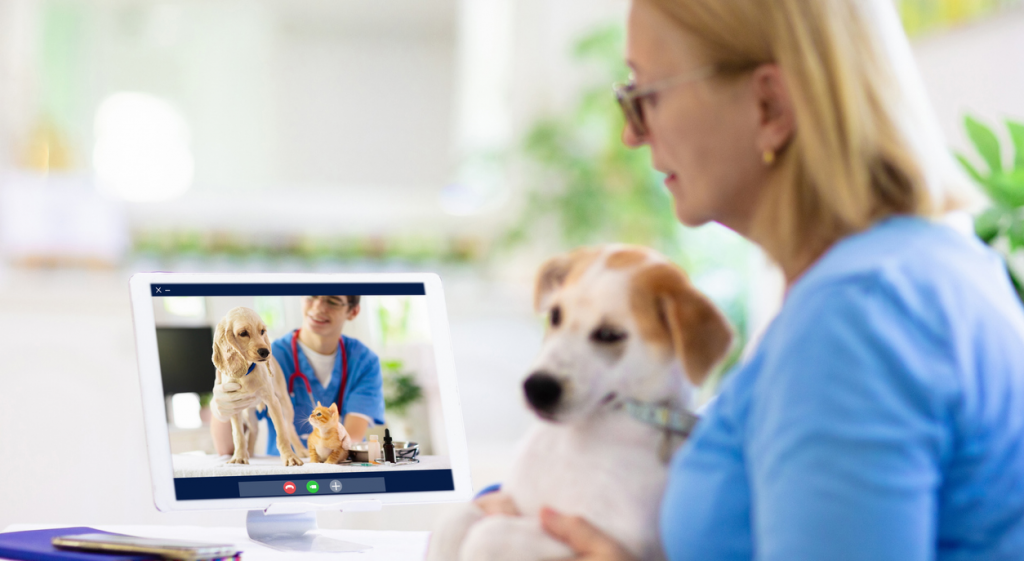 Veterinary Virtual Care Solutions Smart.Vet